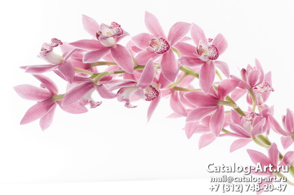 Pink orchids 30